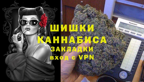 МДПВ Ельня