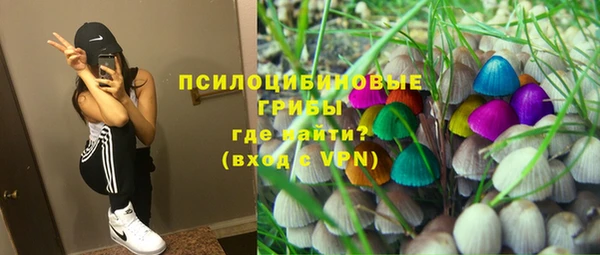 PSILOCYBIN Аксай