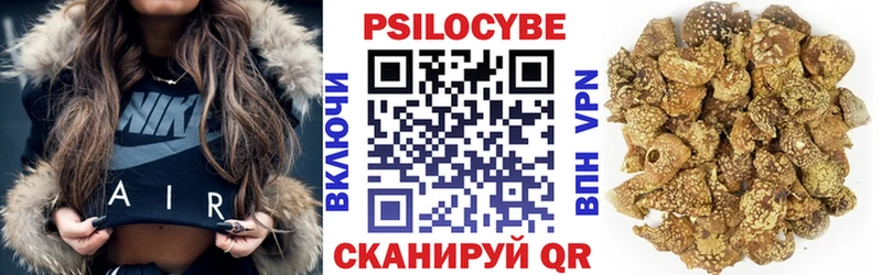 Галлюциногенные грибы Psilocybine cubensis  Лихославль 